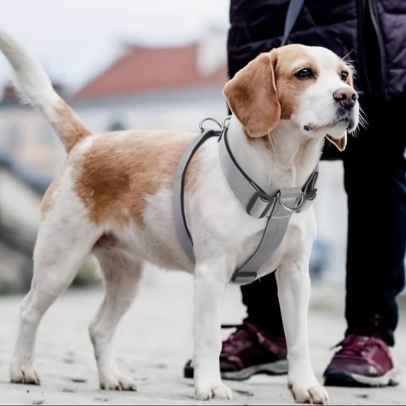 Hundegeschirr Mit Blumenmuster – Anti-Zieh-Sicherheitsgeschirr Für Hündinnen, Größe L, Schwarz