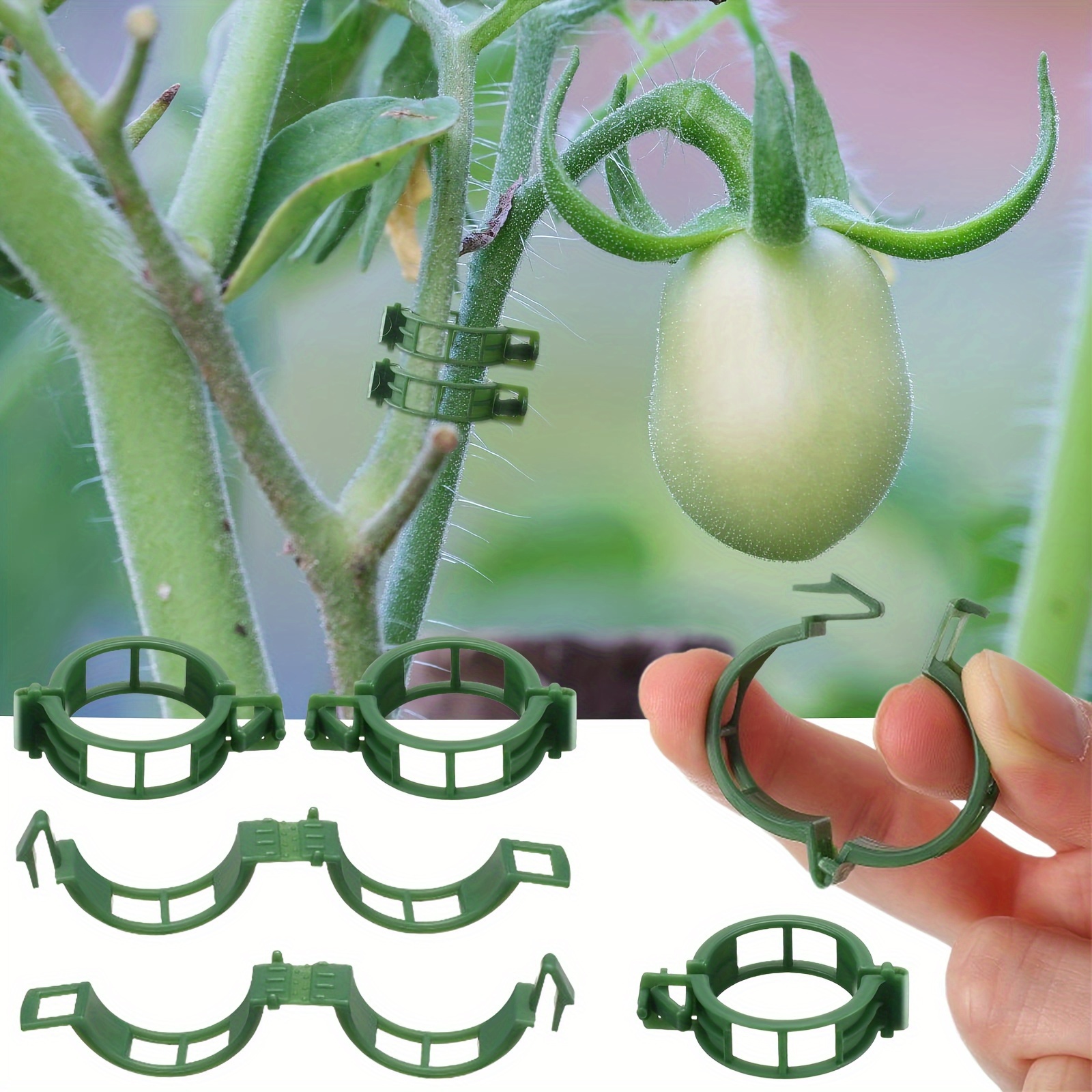 

Plastic Garden Trellis Clips - 10/50//150pcs - Ideal For Supporting Tomato, & Vegetables - Promotes Healthy Upright Growth, Garden Trellis For Climbing Plants