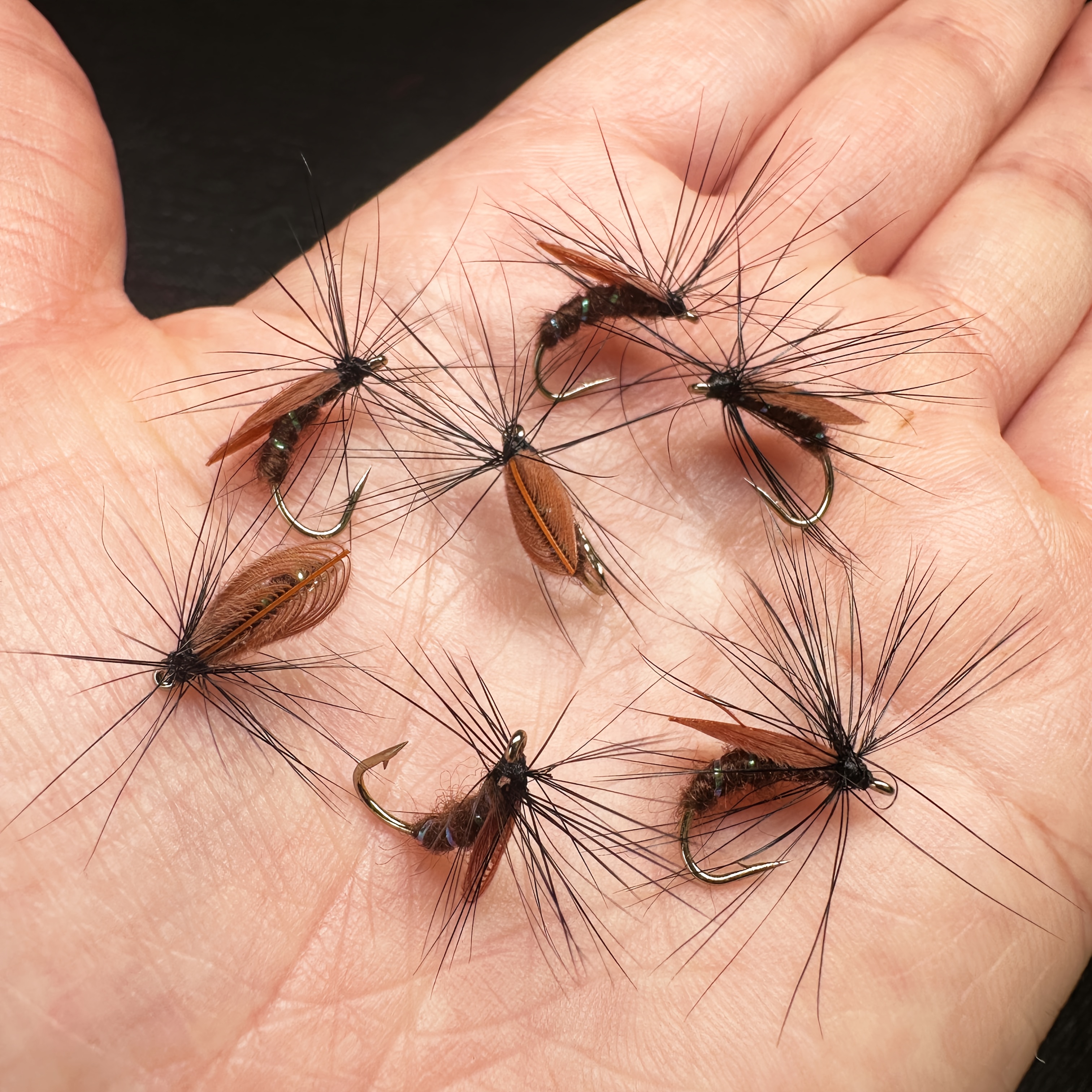 5/10 stk. fliegenfischen kder - Temu Germany