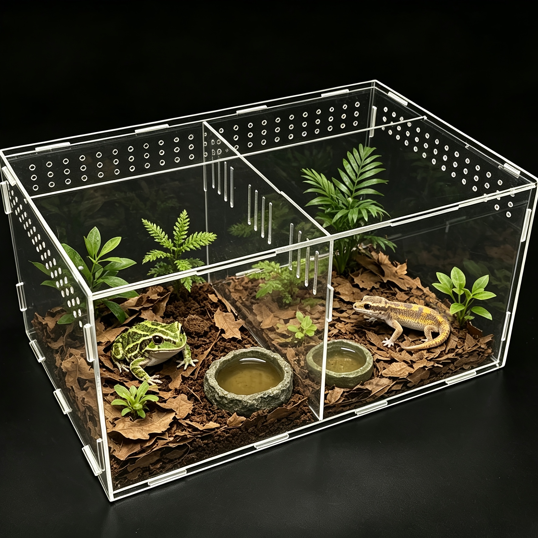 terrario de acrílico     para reptiles, disponible en 2 tamaños decorativos de  .     para insectos es adecuada para la habitación de s rrones,     y   insectos. el tamaño   con divisores puede albergar múltiples reptiles, incluidos