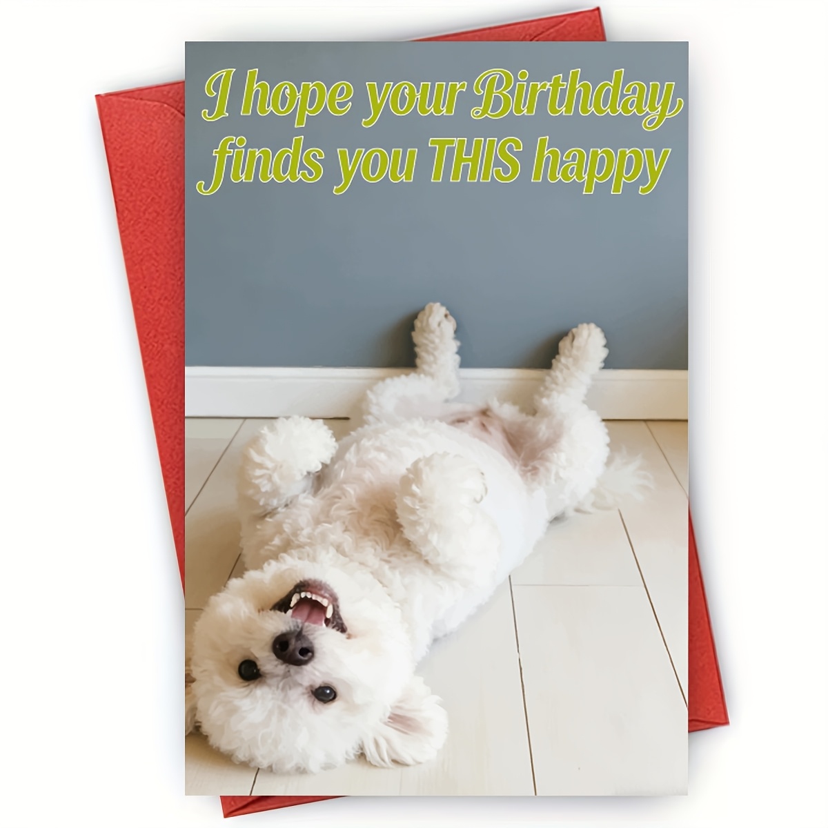TEMU 1pc Fluffy Bichon Frise Happy Birthday Card - Gift & Decor - Friend, Family - "i Your Birthday Finds You This Happy" Greeting Card