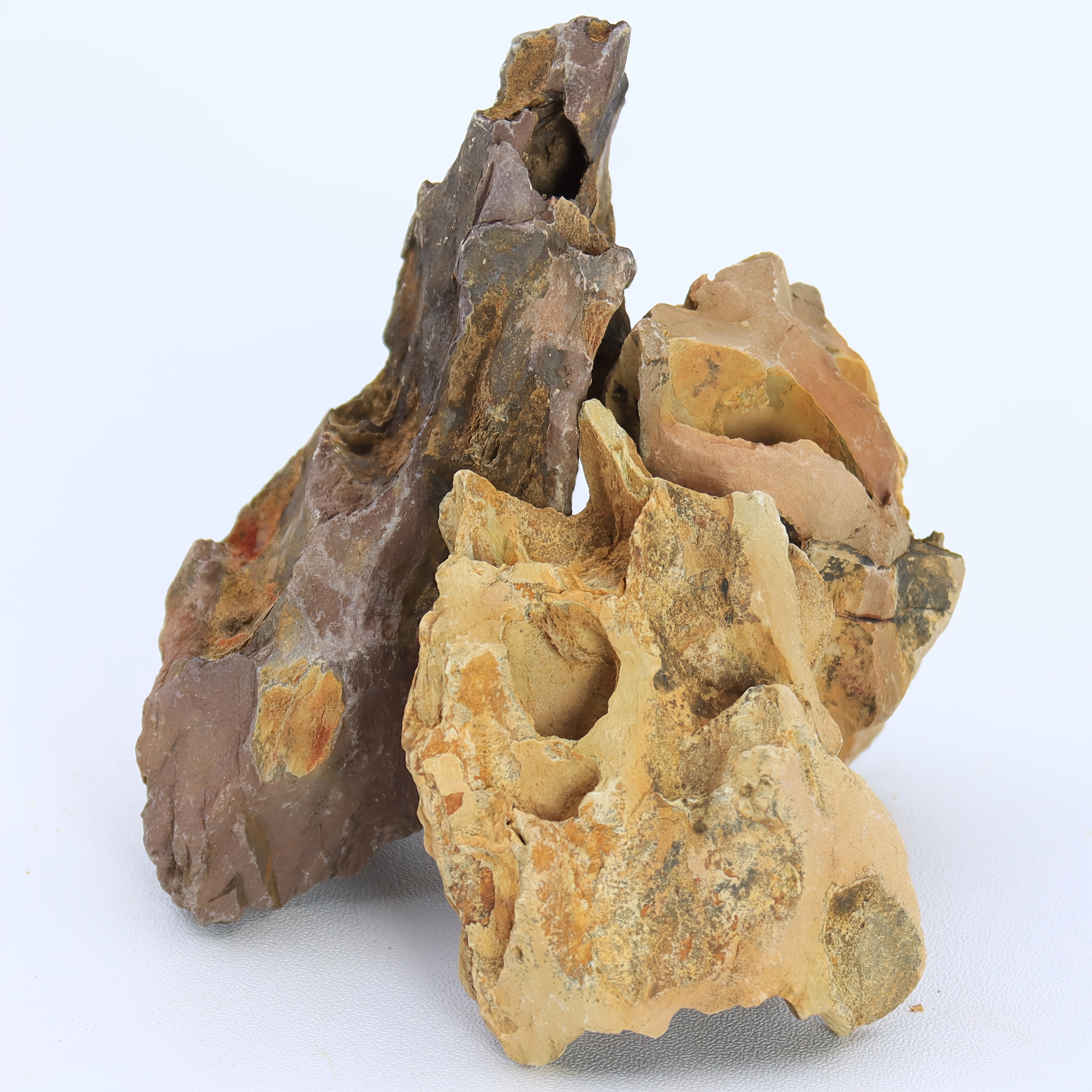 TEMU 120g Natural Dragon Bone Stone Aquarium & Pond Decor - Natural Irregular Dragon Bone Suitable For Fish, Aquarium Landscape, Terrarium, Gardens,