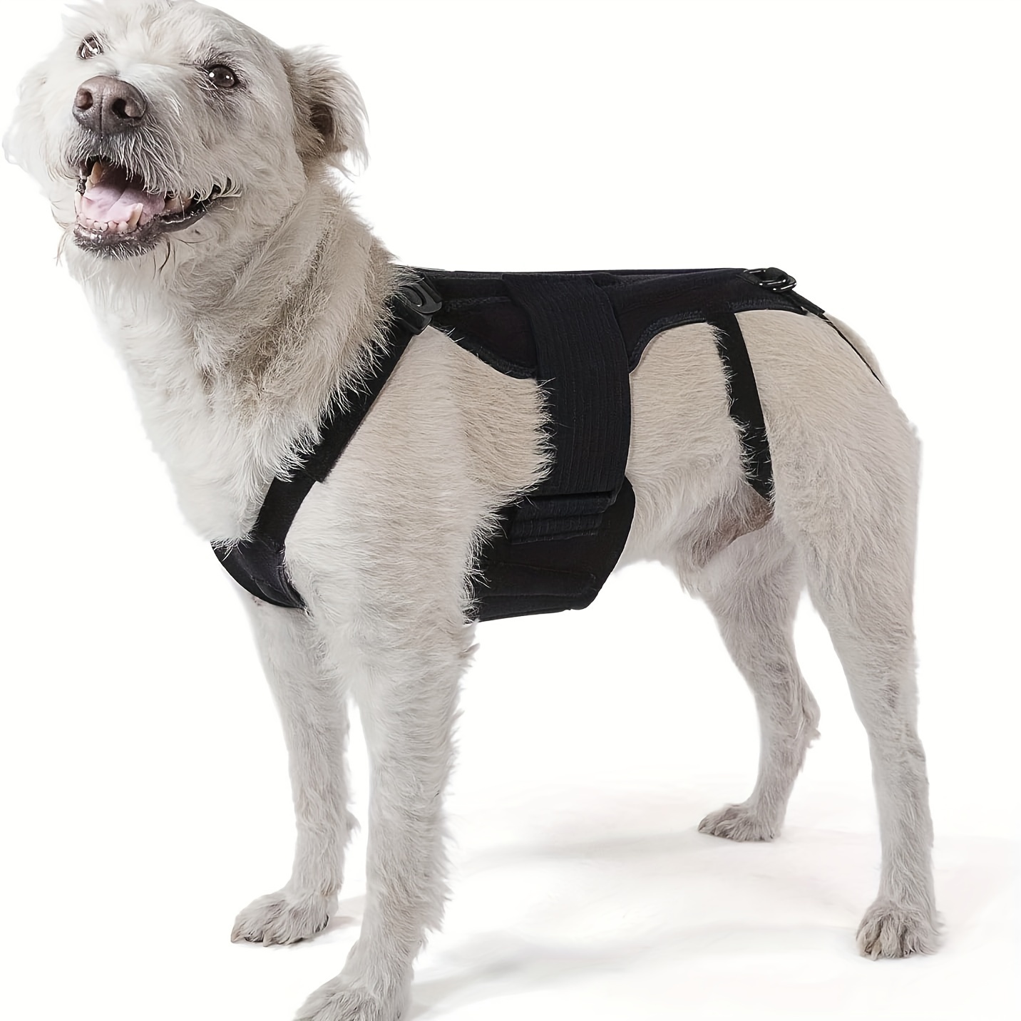 Dog Back Brace For Ivdd, Back Brace Comfortable Full Body Harness