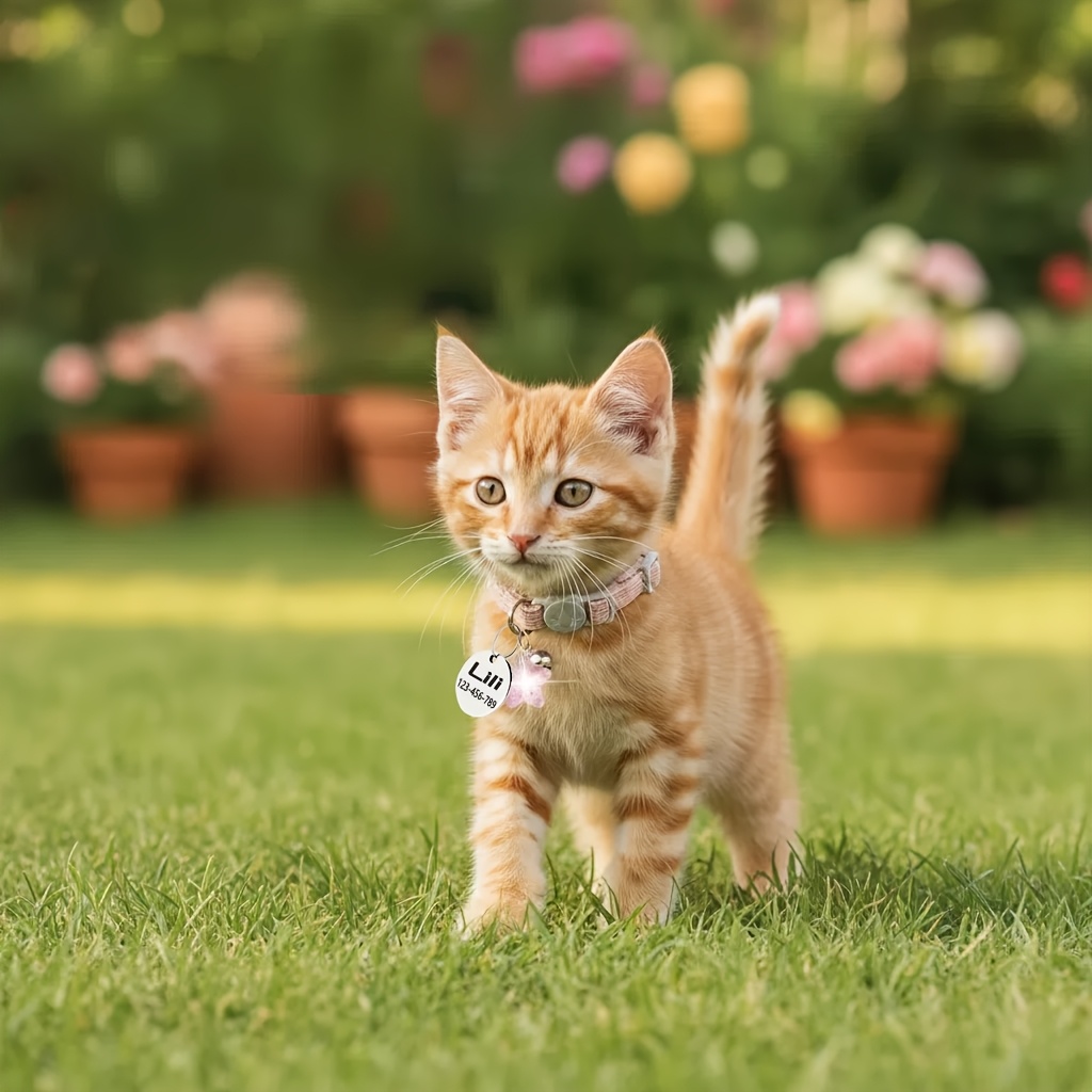 Personalized Round Tag Cat Collar with Bell and Flower Star Pendant