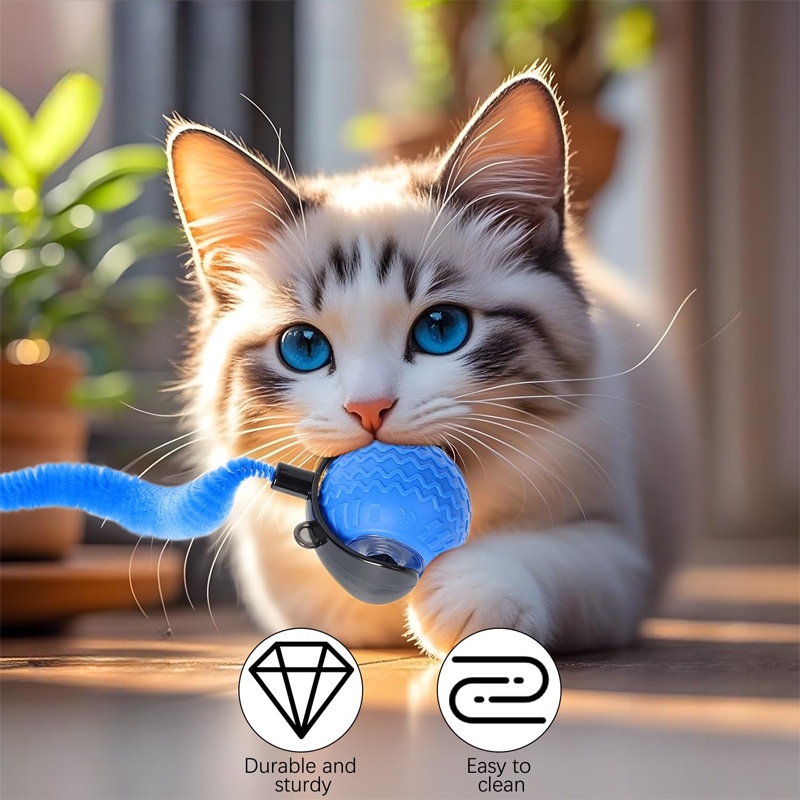 1pc MIAOQUANJI Interactive Cat Toy with Automatic Rolling Ball - USB Rechargeable, Smart Tail Ball for Indoor Cats, Durable Plastic, All Breeds & Sizes, Interactive Playtime, Cat Toy, Playful Design, Smooth Surface 11 1pc MIAOQUANJI Interactive Cat Toy with Automatic Rolling Ball - USB Rechargeable, Smart Tail Ball for Indoor Cats, Durable Plastic, All Breeds & Sizes, Interactive Playtime, Cat Toy, Playful Design, Smooth Surface - Image 11