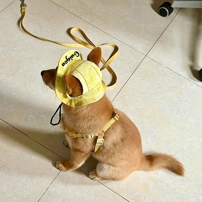 [Customized]Personalized Pet Bucket Hat Custom Name Font Pet Sun Cap for Dogs Cats Outdoor Adjustable Pet Hat Cute Puppy Kitty Fashion Additions