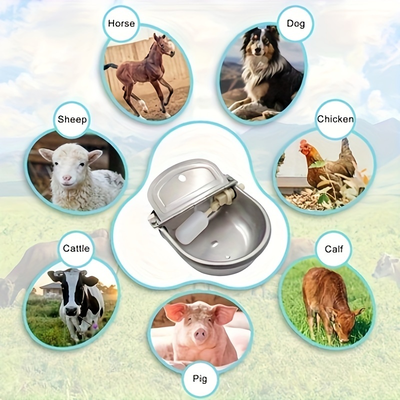 Distributore Automatico Acqua Per Animali | Abbeveratoio Acciaio Inox Per Cavalli, Cani, Bovini - Foto 7