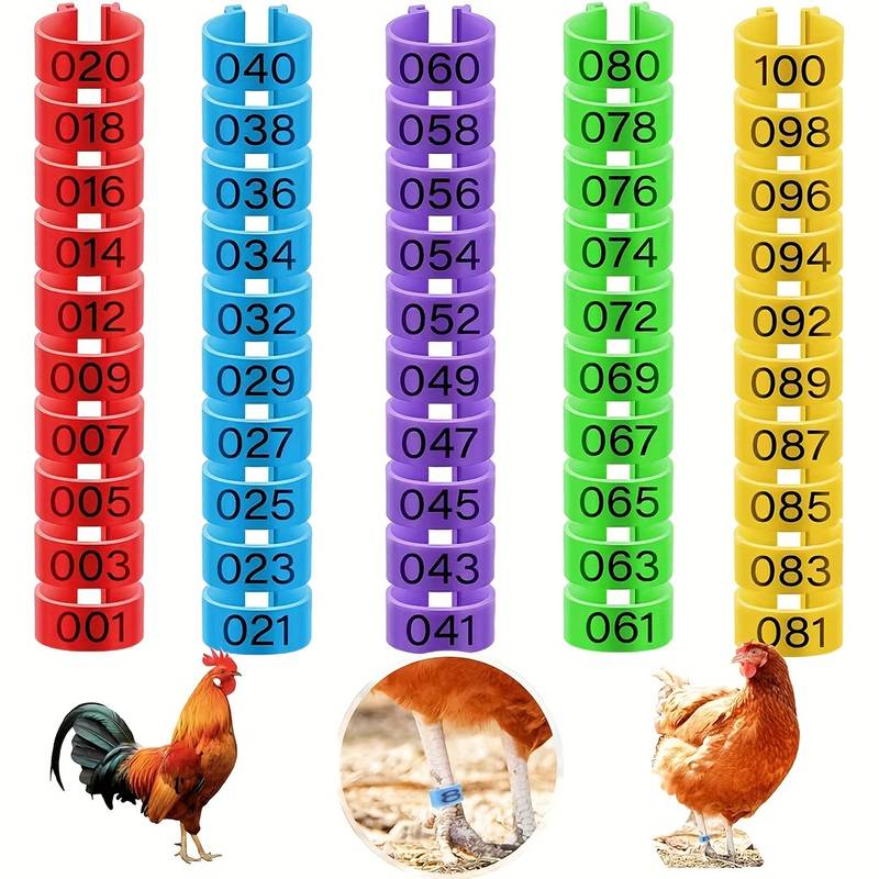 100 Anneaux De Pattes Pour Volailles - Numérotés De 1 à 100, 5 Couleurs, Réglables - Pour Poulets, Canards, Dindes, Oies