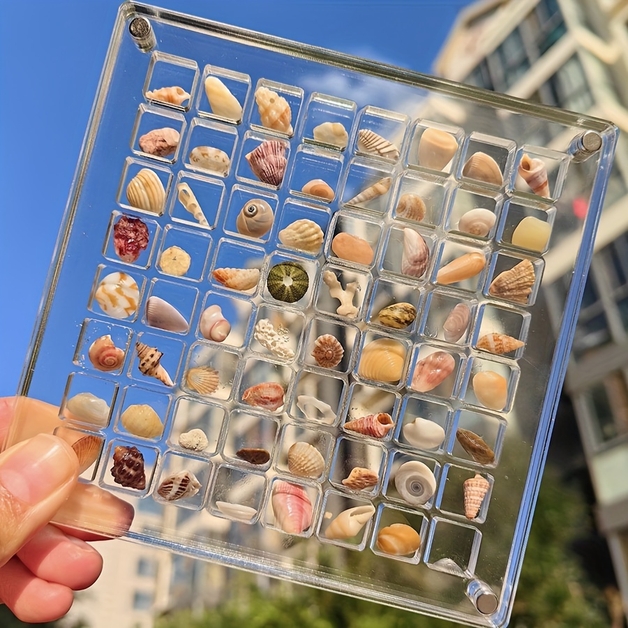 

1pc 36/64/100-grid Acrylic Magnetic Seashell Display Box, Transparent Mini Seashell Storage Box, Decorative Seashell Starfish Trinket Display Case, Small Craft Container