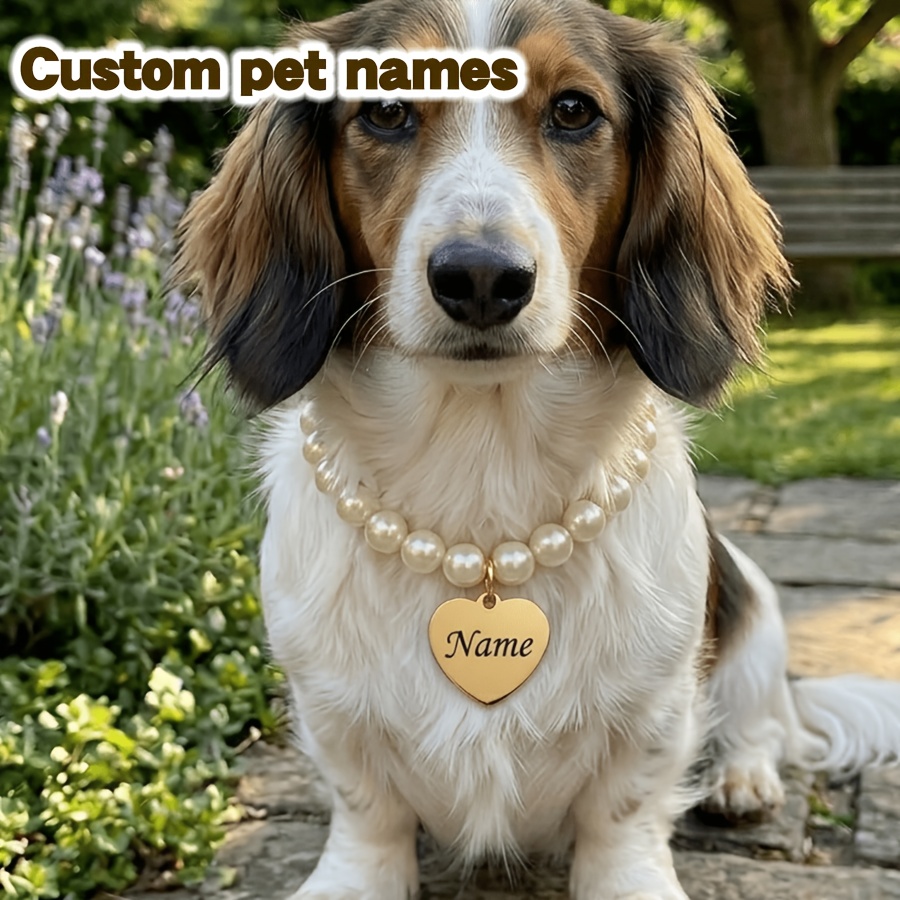 Custom Engraved Dog Collar with Heart-shaped ID Tag