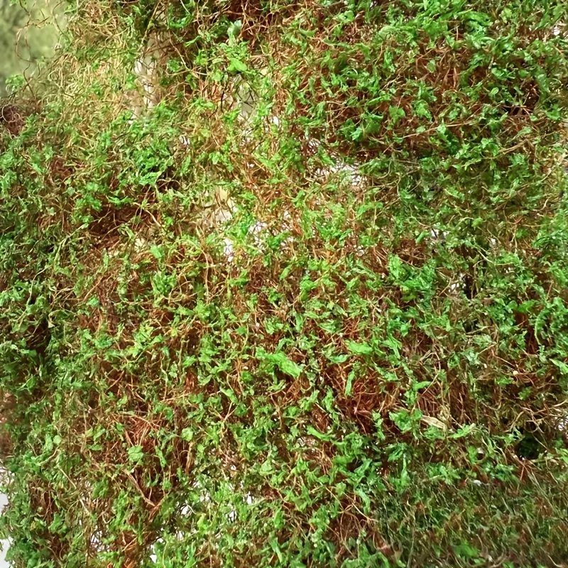 Realistic Fake Ivy & Vines For Miniature Landscapes, Model Railways, - Miniature Plants Suitable For Mini-gardens, Train Layouts, Dollhouse Decor