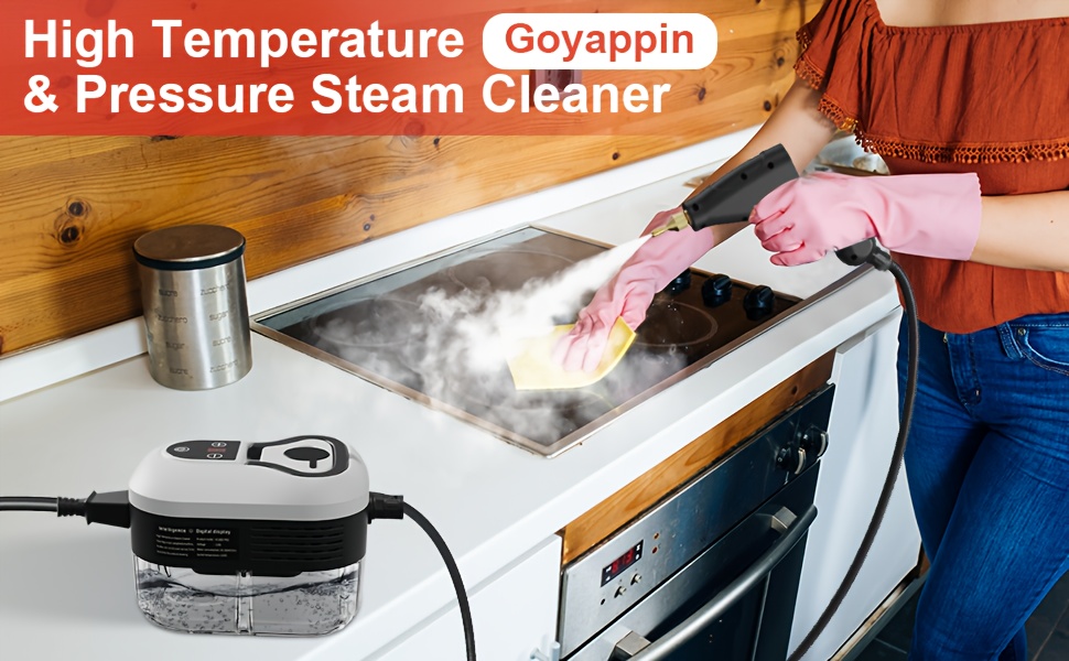 2500 w steam cleaner for household use portable pressurized steam cleaner high temperature steamer for car detailing grout sofa floor tiles bathroom microwave mattress bed bug removal windows Product details 0