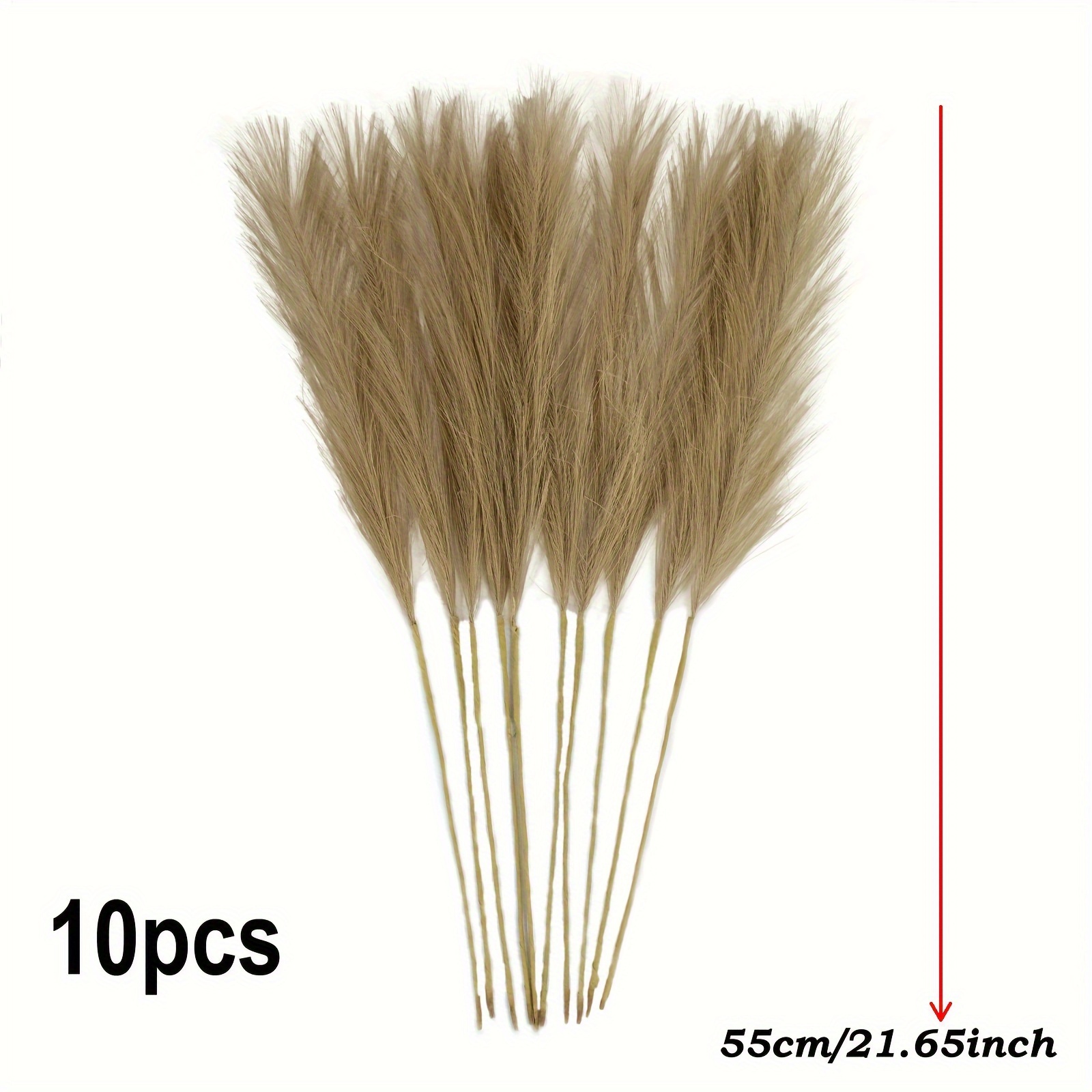 10 zweige pampasgras hhe 55cm knstliches schilf knstliche - Temu Germany