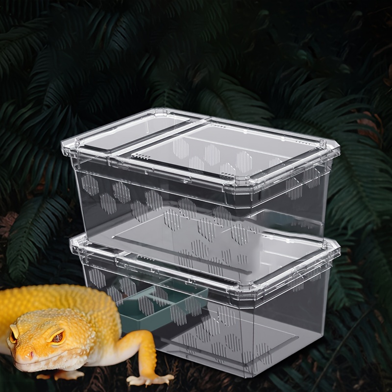 Crawler Pet Boxes Crawler Pet Box Spider Horned Frog Temu