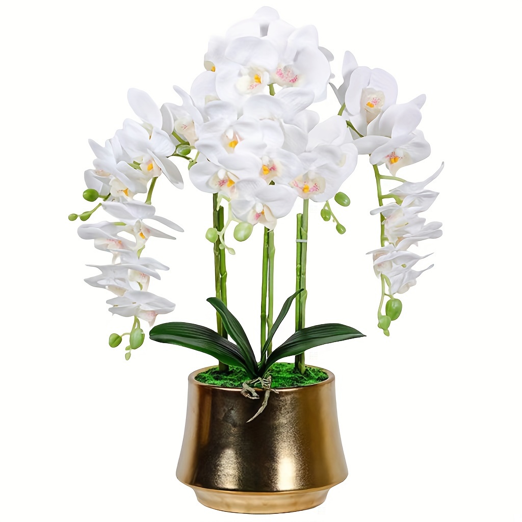 

Set Of 2 Artificial Orchid Phalaenopsis Plants For Wedding And Engagement, White Plastic Fake Flowers, Non-potted Decorative Butterfly Orchids For Home Decor, Centerpieces & Table Decorations