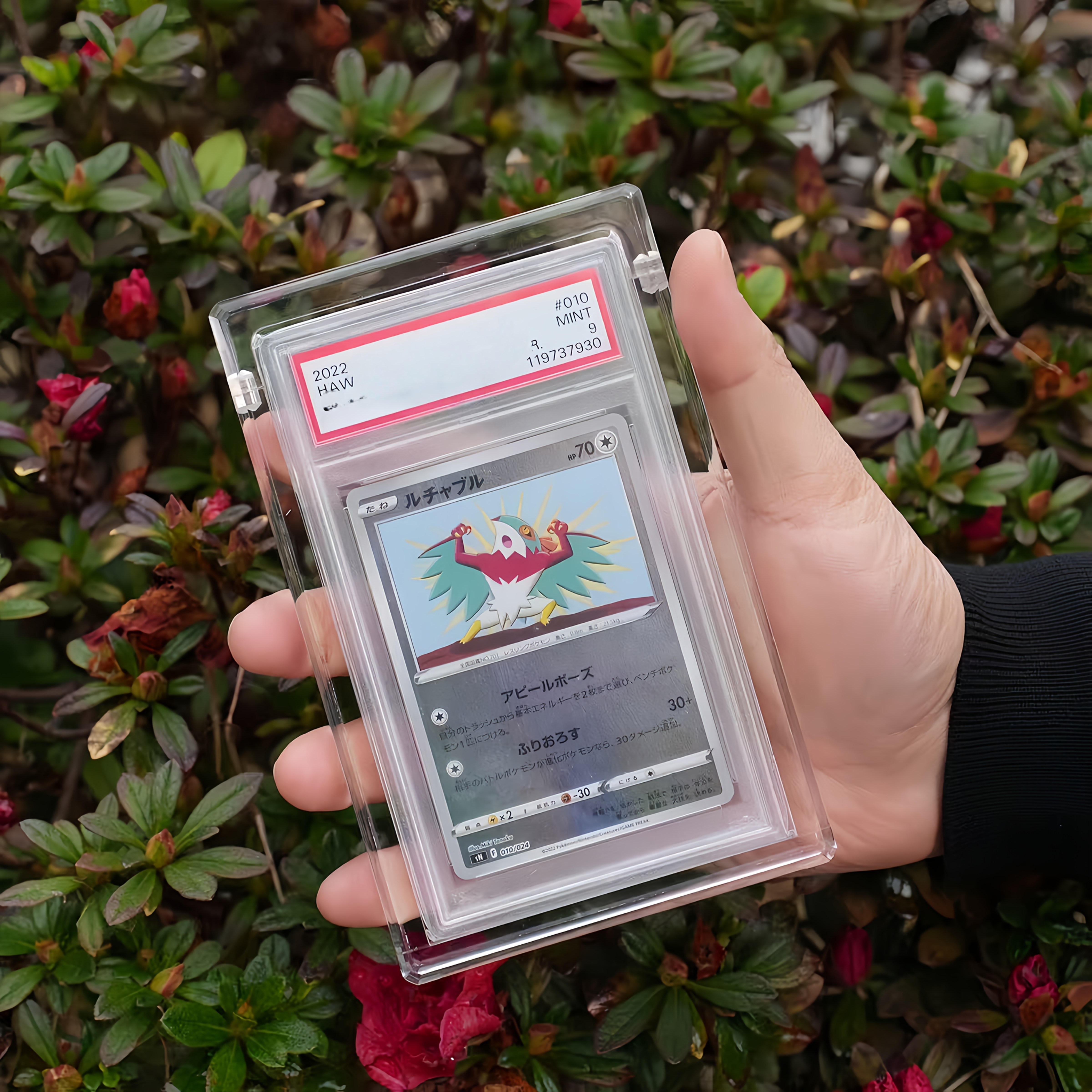 forpsa graded card display acrylic case board box forpsa card holder graded card display box