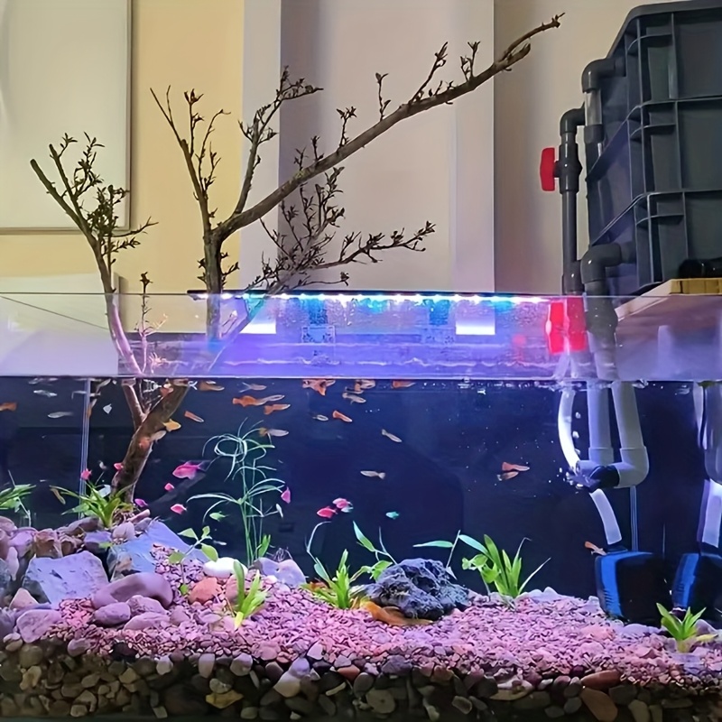 1000g/500g/300g/200g/100g Piedras de Arroyo - Guijarros y Grava Mixtos, Adecuados para Paisajismo de Acuarios, Decoración de Jardines, Relleno de Jarrones - Piedras Decorativas Multicolor para Interior/Exterior, Rocas Decorativas para Acuarios, Decoración de Interiores, Piezas Decorativas