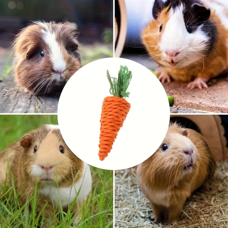 9e9eccf2 D8d3 4e5f 87fc 4d1583132b20