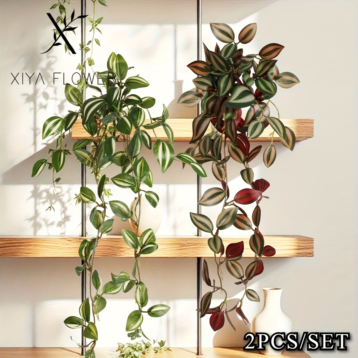 monstera kleine gelbe tierchen Monstera Deliciosa Aurea | Seltene Zimmerpflanze
