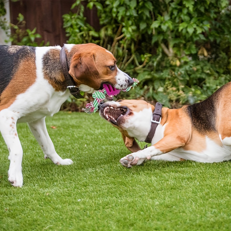 Interactive Dog Chew Toy - Keep Your Pet Entertained and Active with this 1pc Knot Toy!