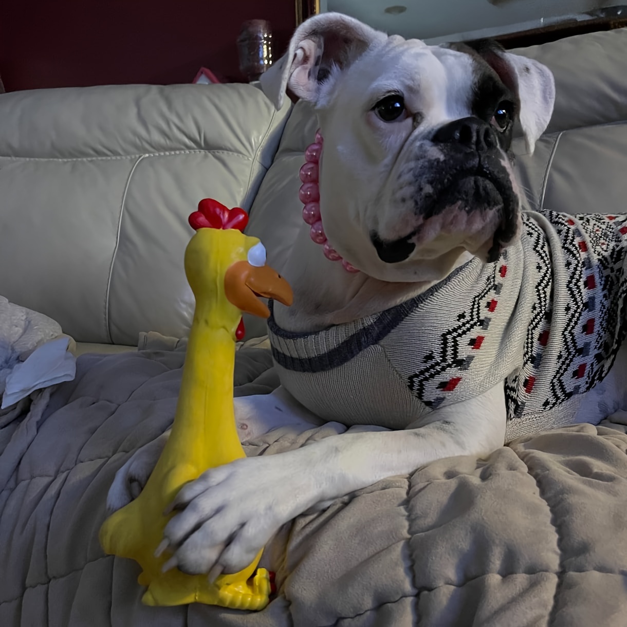 Sturdy Latex Toy Shaped Like a Screaming Chicken, Duck, Or Dog, Designed for Chewing And Playful Entertainment with a Squeaker for Added Fun, Without Battery