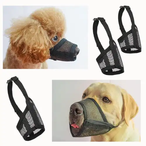 Humane Alternatives to Anti-Bark Muzzles