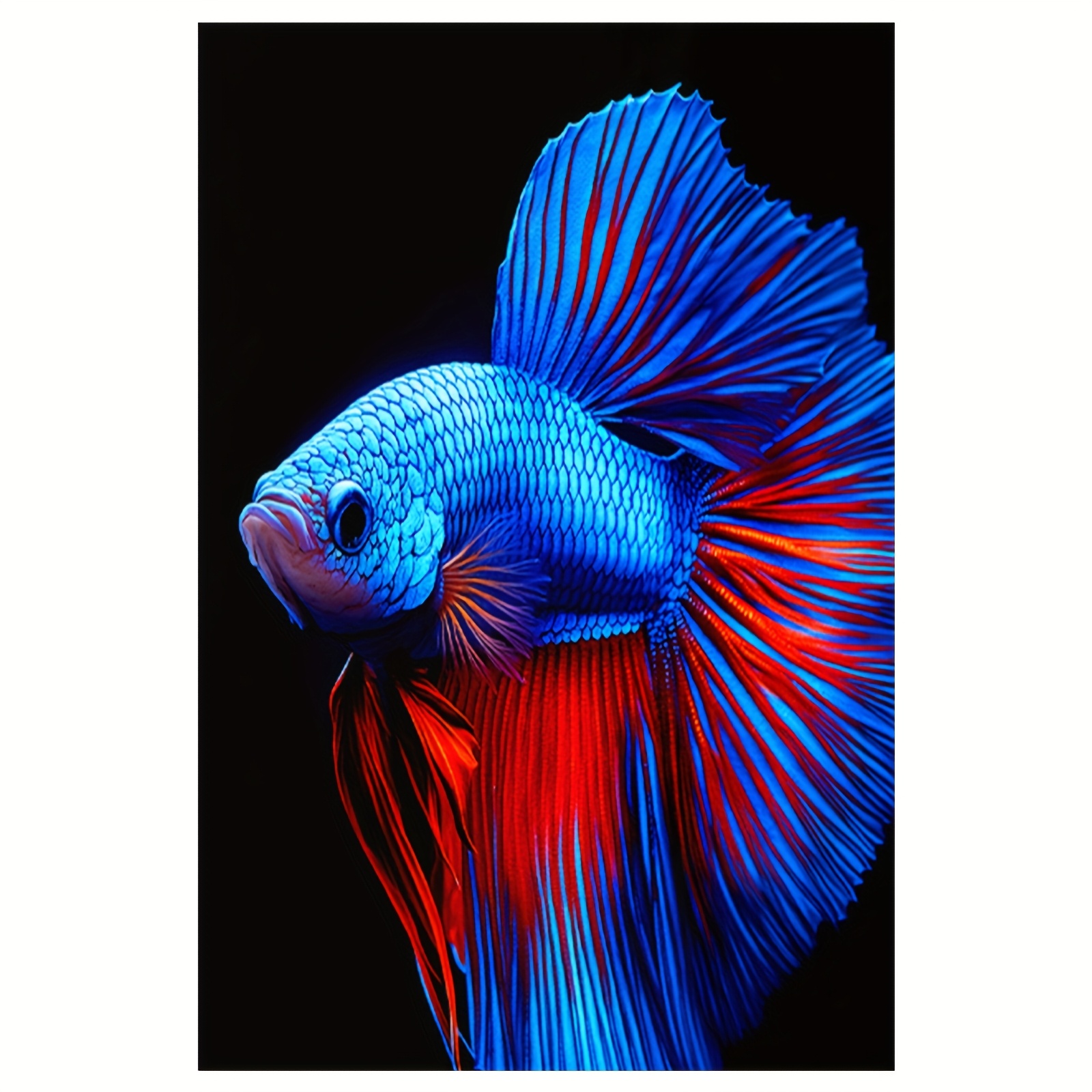 TEMU 1pc Frameless Canvas Poster - Betta Fish Wall Art, 12x18 Inch, Modern Home Bedroom Decoration With Detailed , Bedroom Wall Decor|vibrant Wall