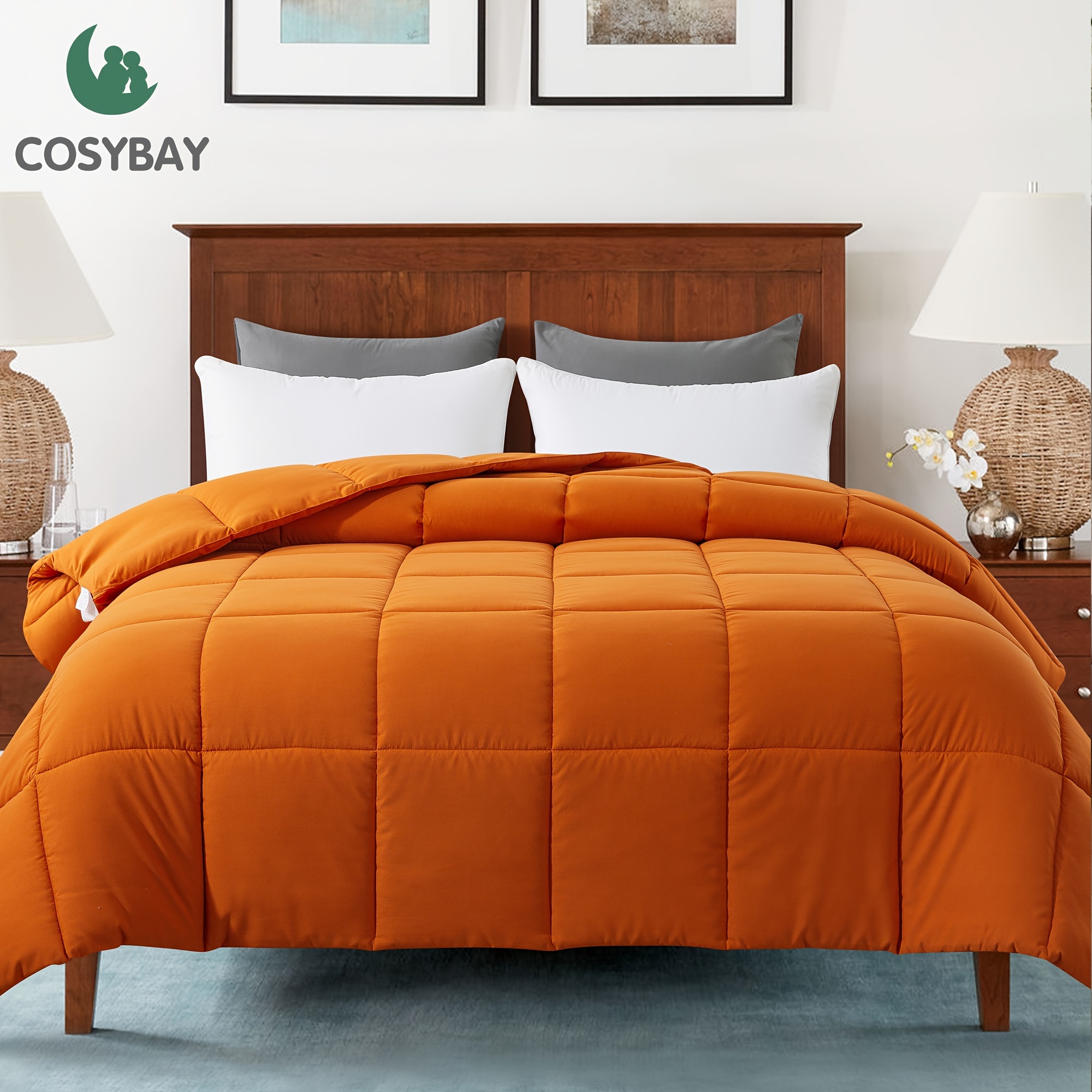 

Cosybay Down Alternative Comforter (burnt Orange) - All Season Soft Quilted Bed Comforter -lightweight Duvet Insert With Corner Tabs -winter Summer Warm Fluffy