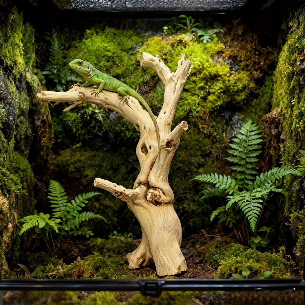 Natural Wood Hideout for Gecko & Bearded Dragon