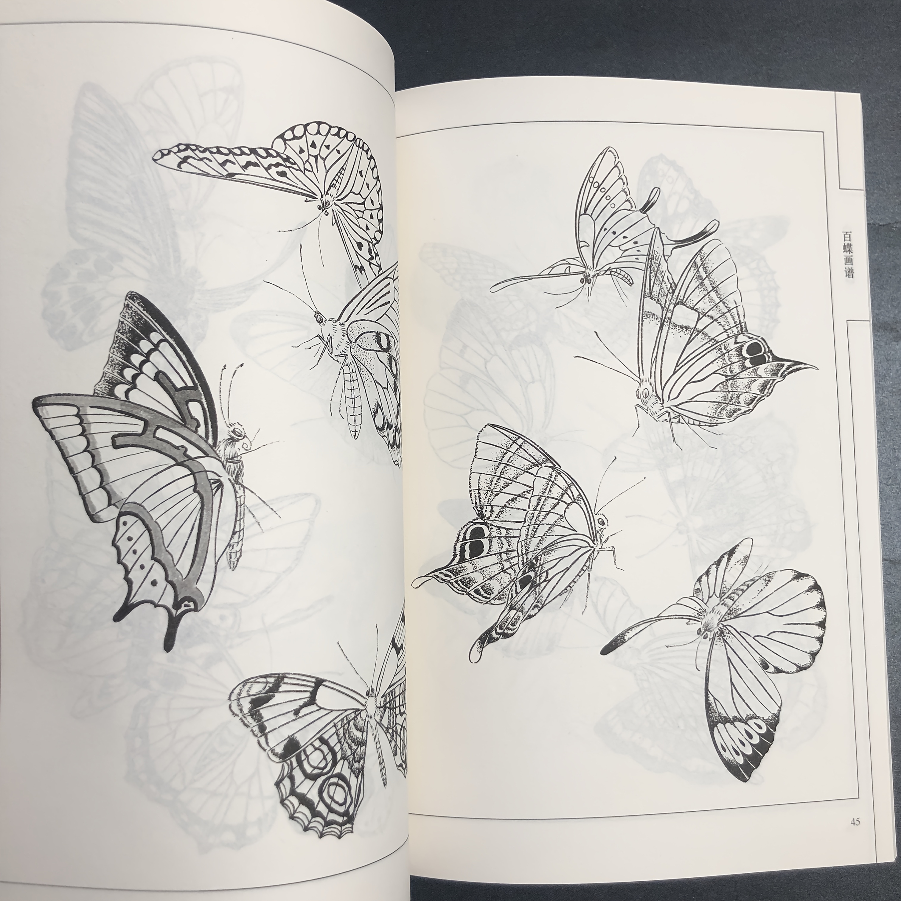 Chinese Line Drawing of Butterflies, My First Chinese Painting Album, a Guide to Traditional Chinese Painting, Suitable for Teenagers And Adults for Stress Relief, DIY Coloring Book, Watercolor, Ink Painting, Oil Painting. Chinese Version