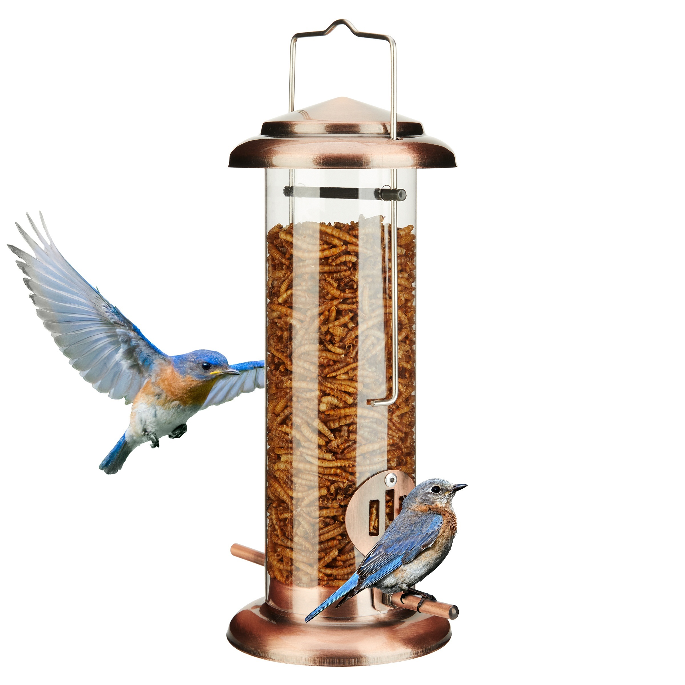 

Kingsyard Bluebird Feeder For Outdoors Hanging - Chew Proof Tube Bird Feeder For Wild Birds