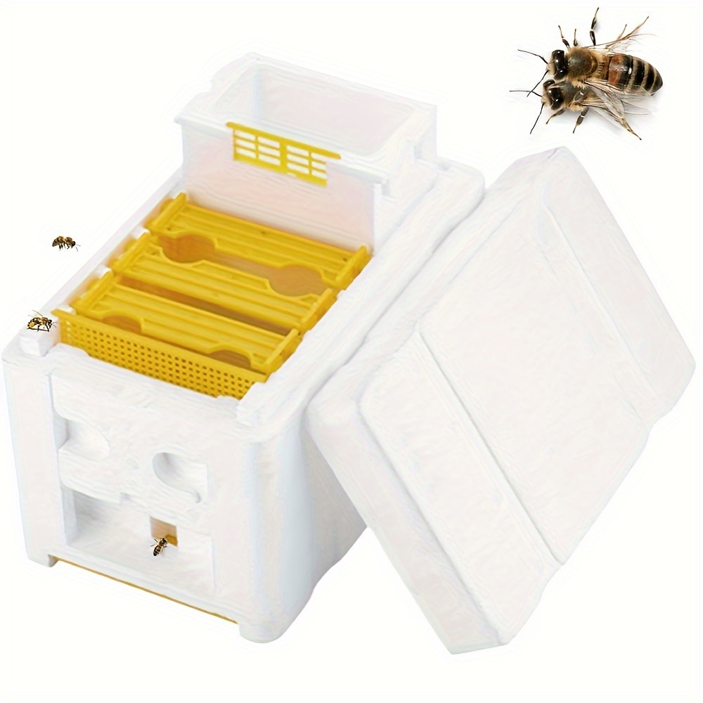 

1 Ensemble de boîte de réarmement de reine en mousse en plastique à une seule couche, fournitures de apiculture