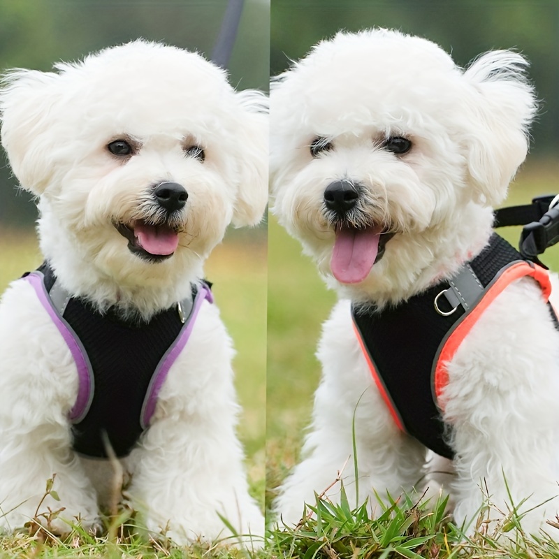 Rttochfy No-Pull Hundegeschirr – Weiches Netzgewebe, Verstellbar, Reflektierend, Größe S (orange)