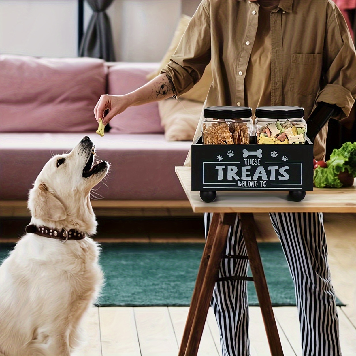 Dog shops treat bin