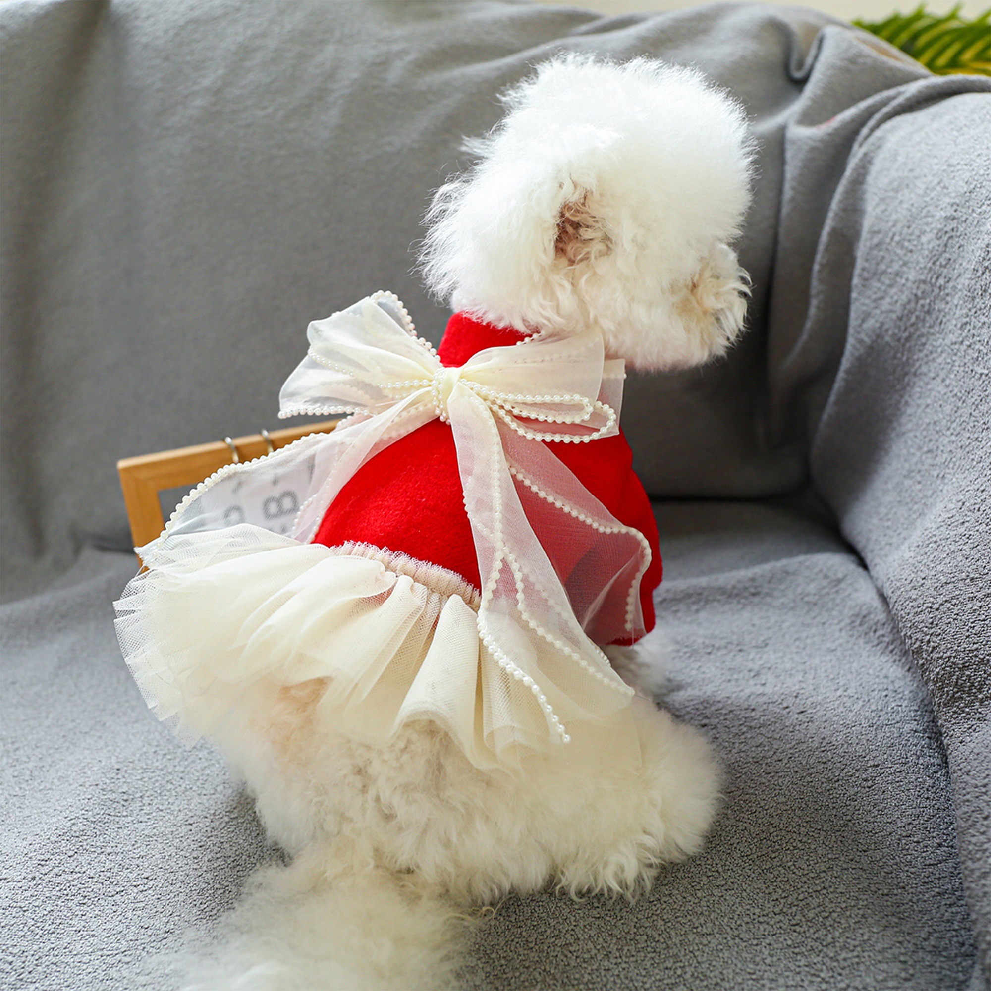green emerald velvet dress Designer Handmade "Scarlett" Dog Party Dress | Poshdoglife.com