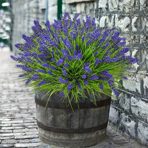 6 bundles of outdoor artificial flowers uv resistant faux lavender flowers and outdoor greenery shrubs suitable for outdoor courtyards gardens flower beds hanging planter decor window frame decor and indoor home decor