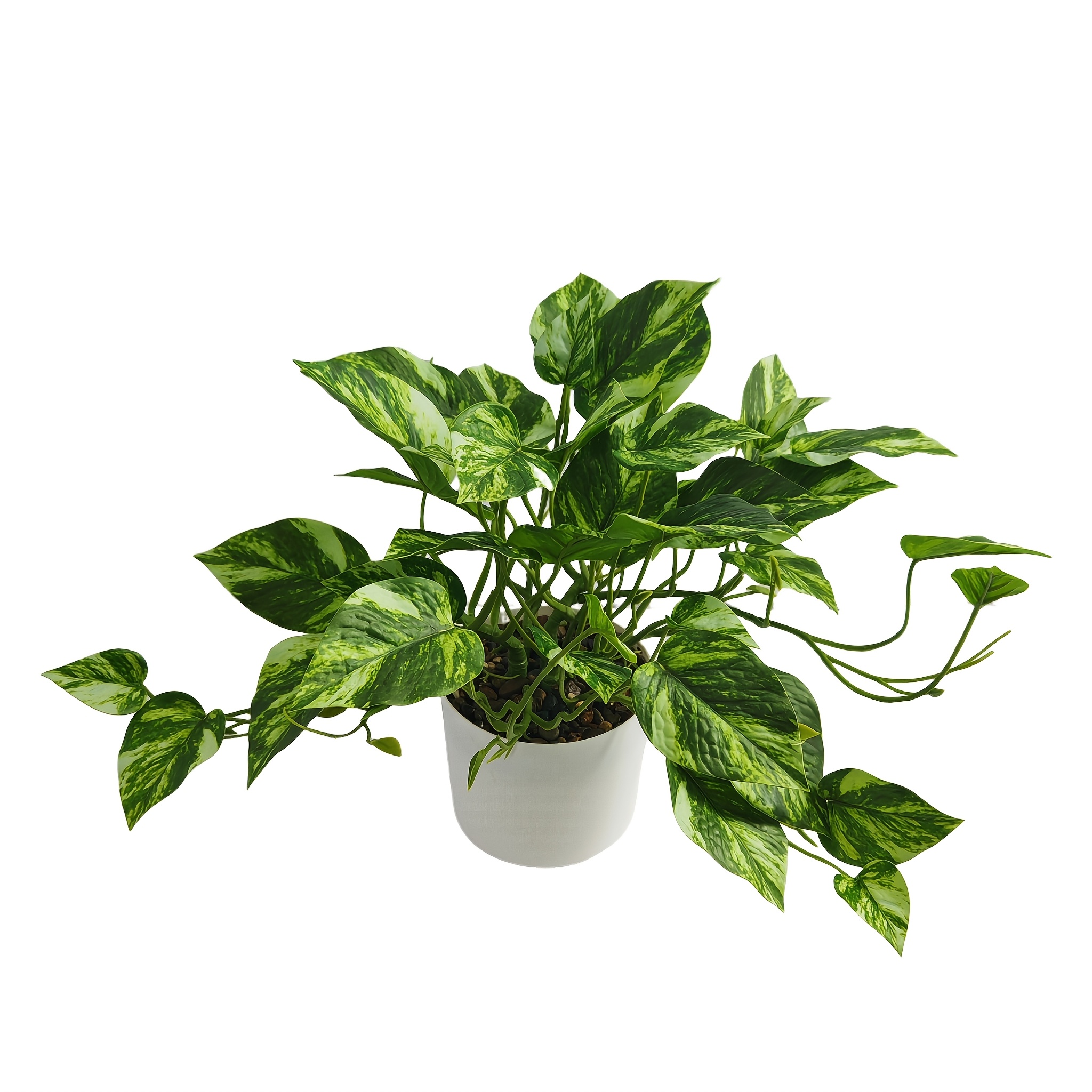 Set Of 1/artificial Pothos Vine In White Plastic Pot/suitable For Indoor, Office, Study, Balcony, And Home Decor