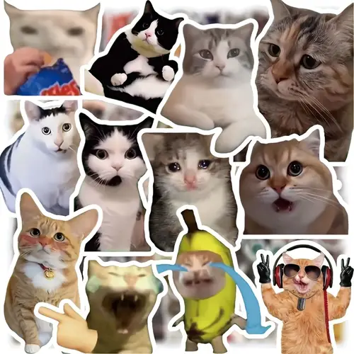 Sticker Cat. Random Craft Supplies & Stickers - Temu