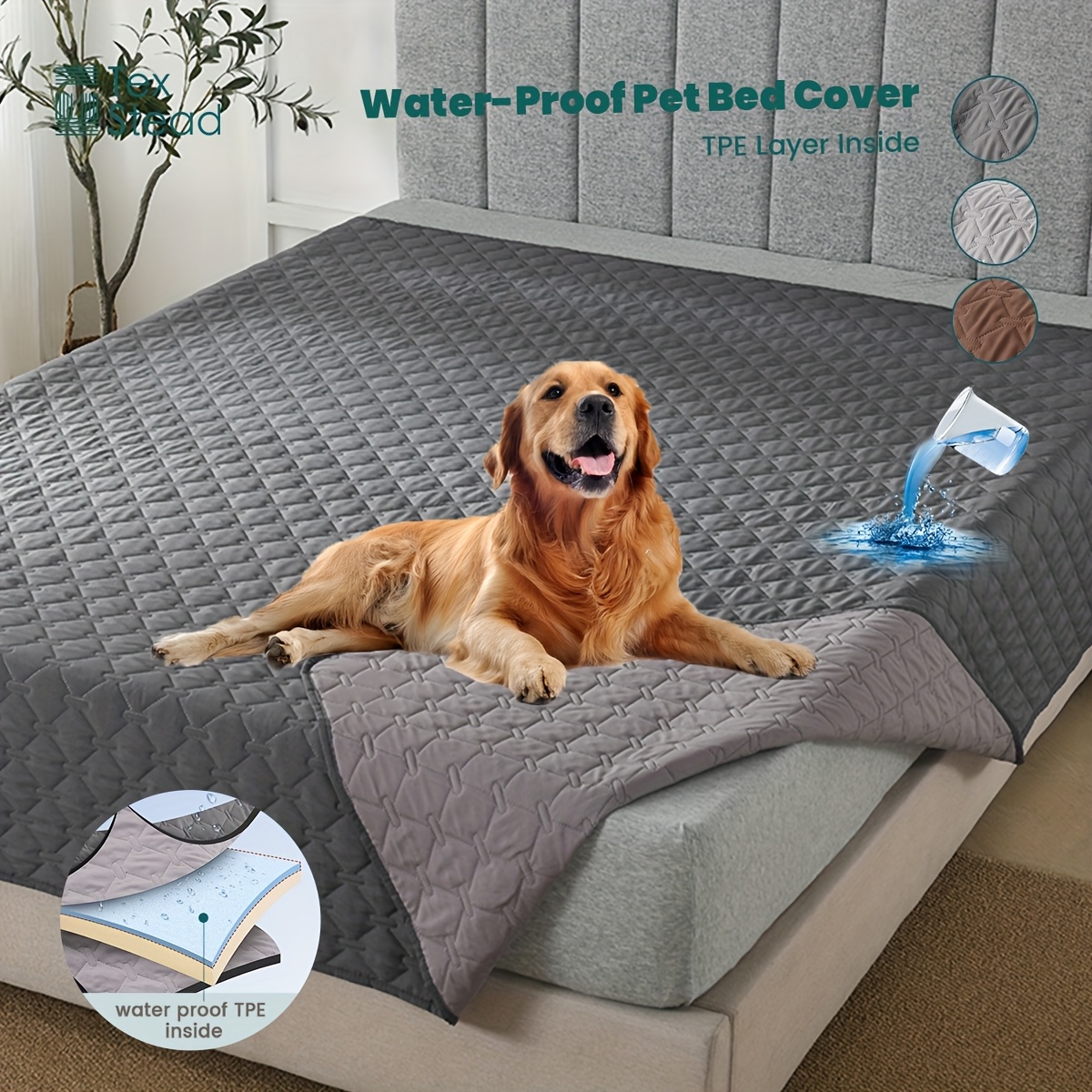 purple dog blanket