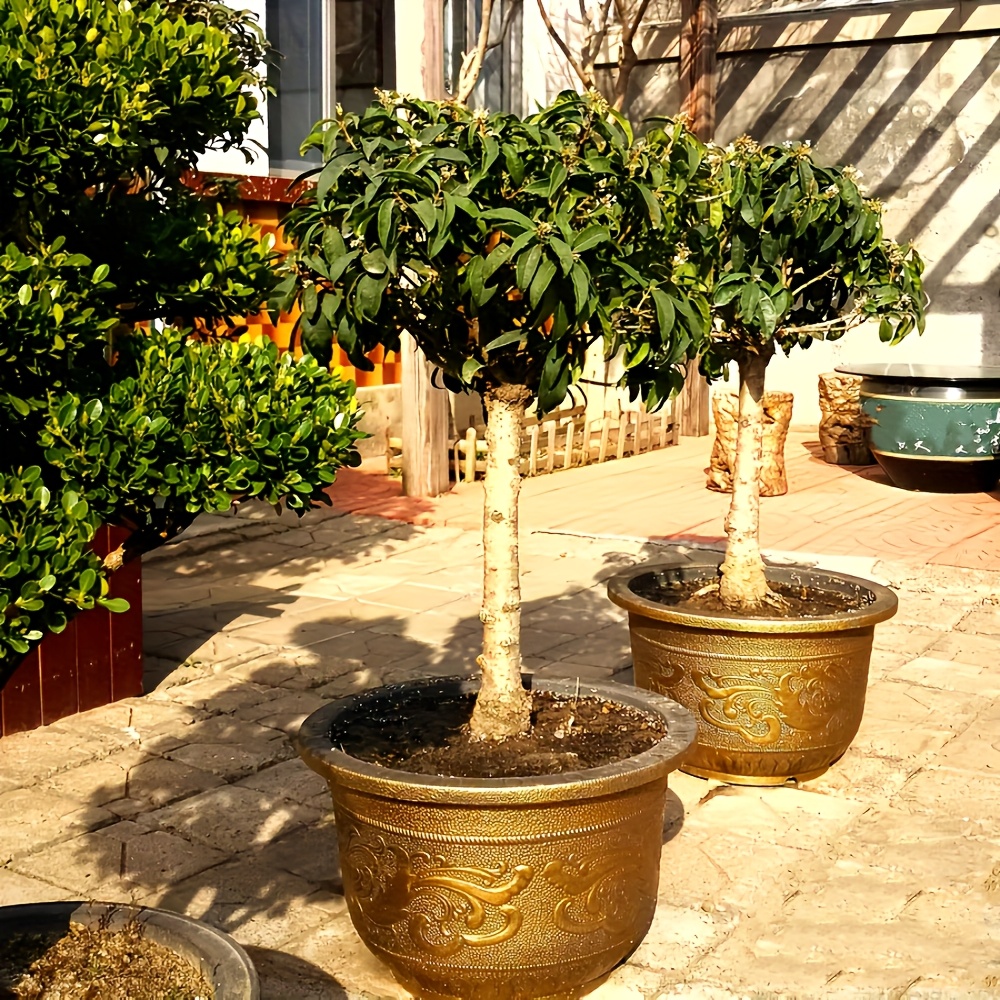 blumenkasten zum hinstellen Blumenkübel 