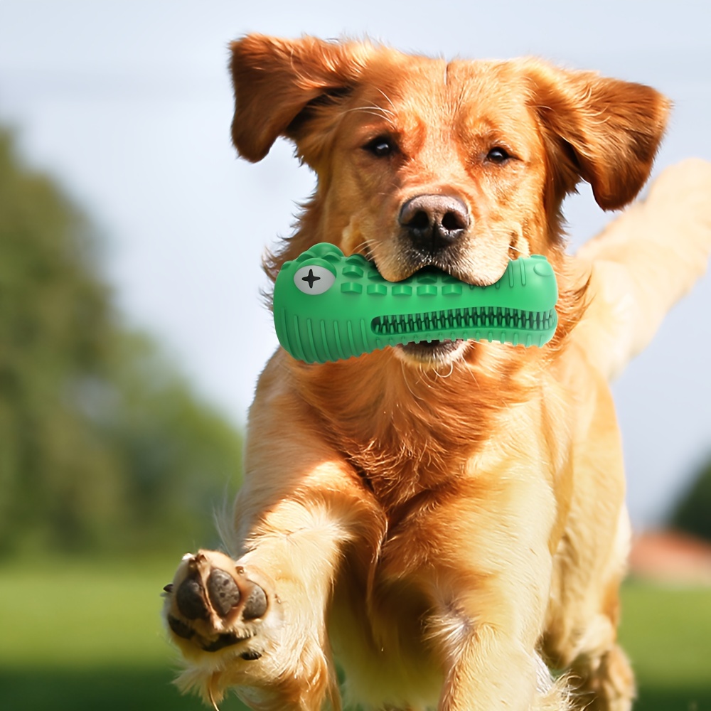 

Dog Toys For Pet Training, Vocalization, Teeth Grinding, And Cleaning