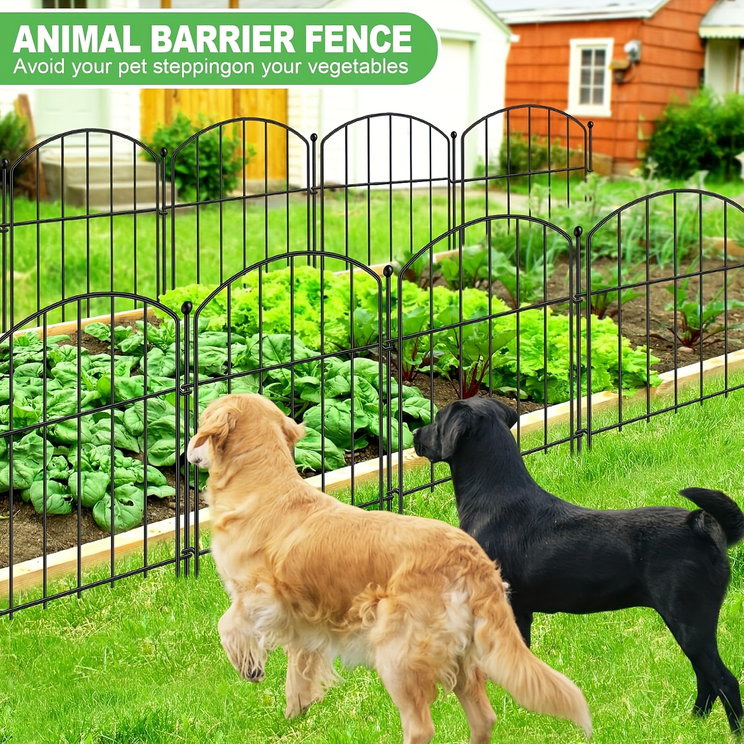 Garden Dog Proofing Your Fence Garden Fencing 33