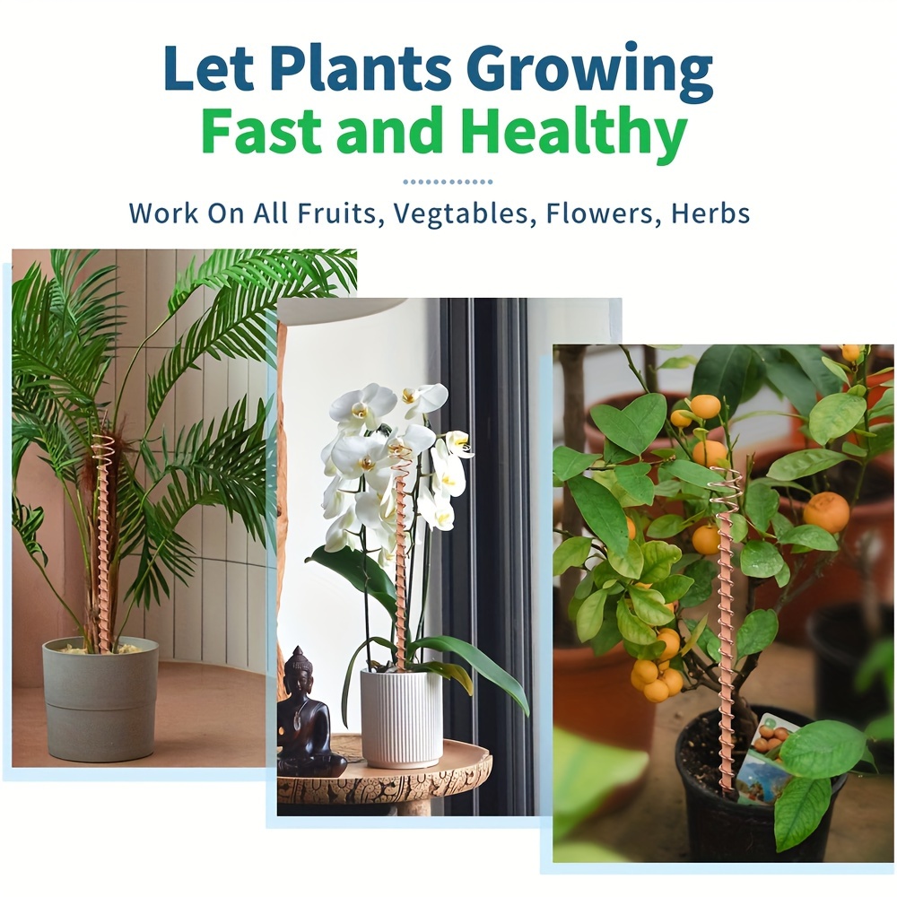 Copper Wire Plant Stakes Boost Garden's Growth Temu United Kingdom