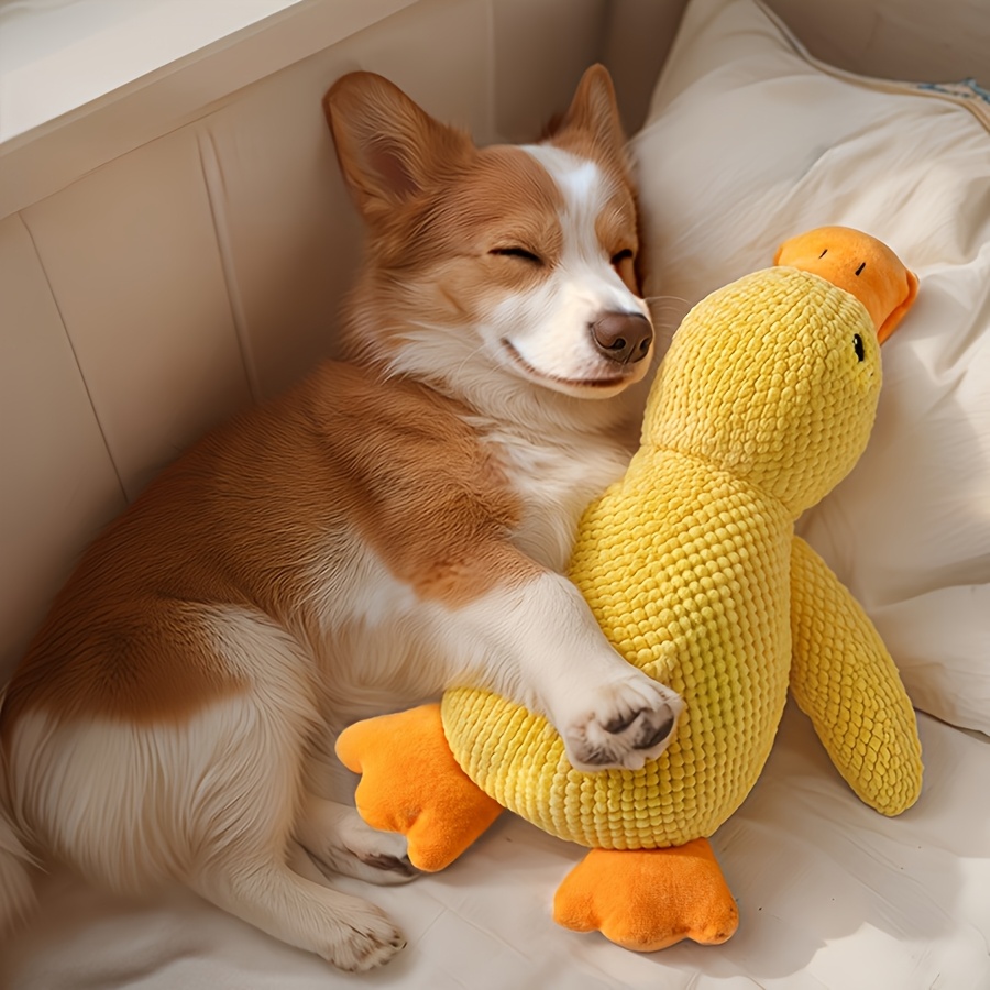 

1pc Canard en peluche interactif avec effet , jouet à mâcher pour chien aux cris pour à moyens chiens, jouet pour animaux de compagnie pour les chiens d'intérieur