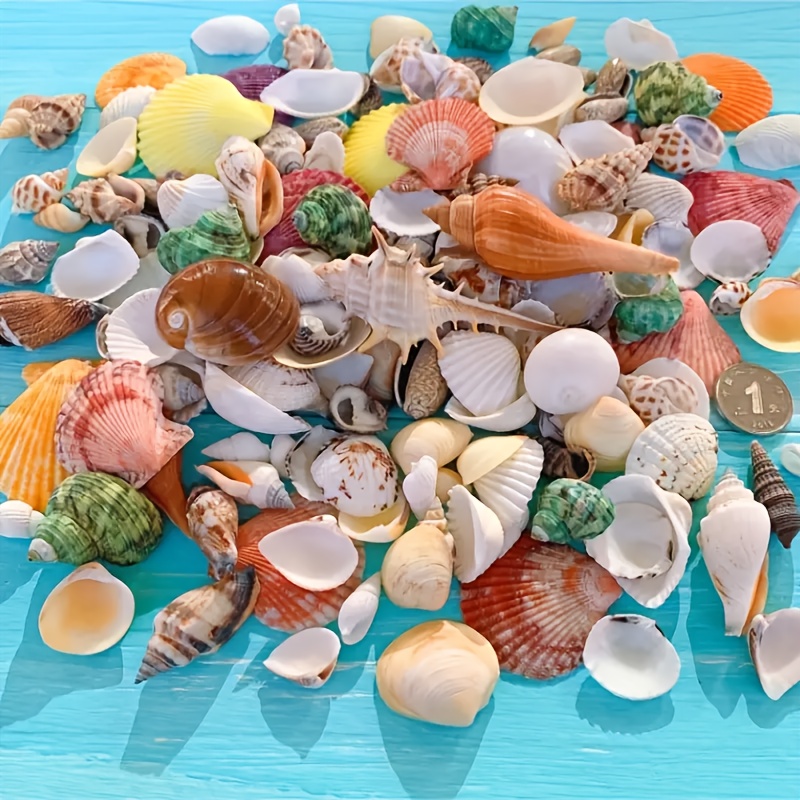 

Assorted Natural Seashells Mix, 100g Pack Of Approximately 60 Pieces, Colorful Ocean Conch Shells For Stunning Aquarium Landscaping And Decor