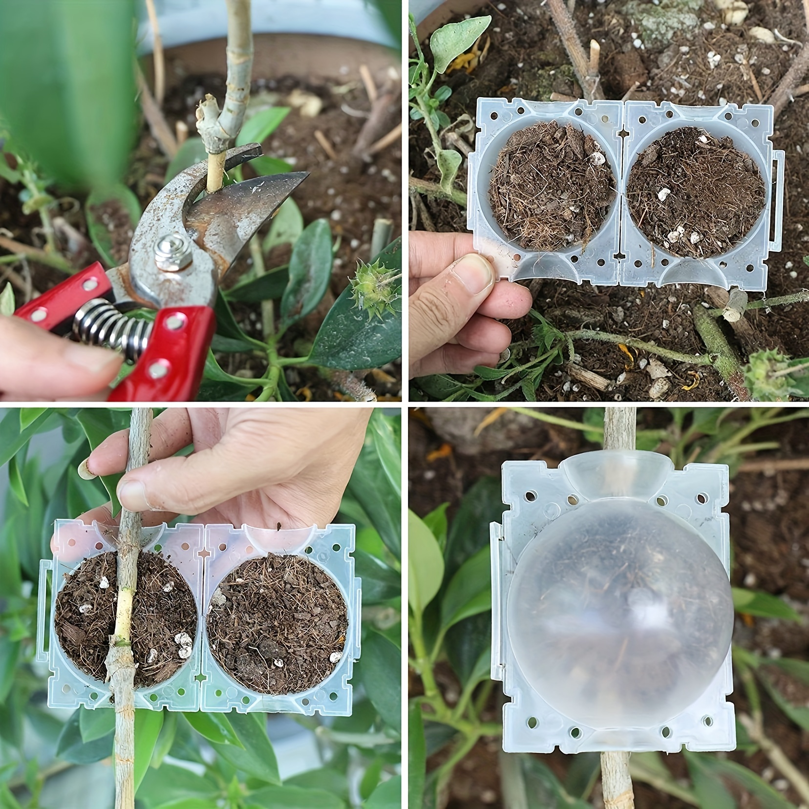 

10pcs, Transparent Plant Rooting Device, High-pressure Propagation Box For Garden And Horticultural Plants, Plastic Rooting Device, Cutting Rooting And Grafting Device