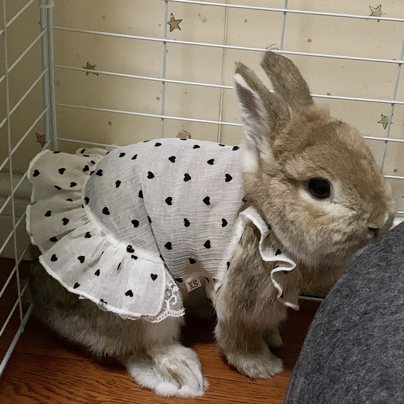 adorable polka dotted bunny dress vest set lace skirt cozy - Temu United  Arab Emirates