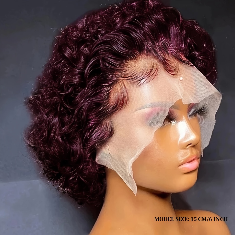 TEMU Short Curly Cut Wig Deep Curly 13x1 Lace Front Wigs 6 Inch Human Hair Curly Bob Wig Human Hair Glueless Wigs Human Hair Pre