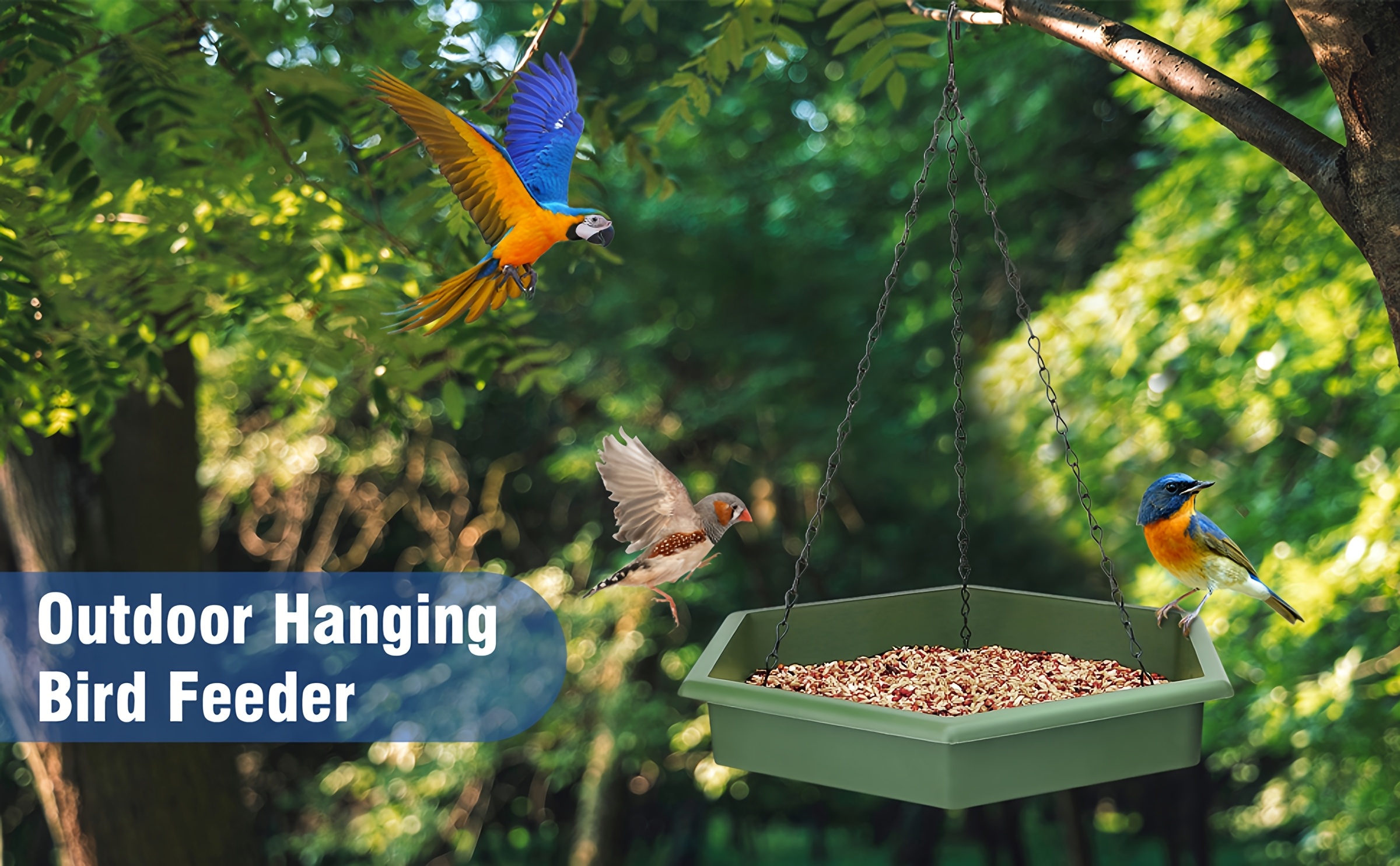 Vogelfutterstation & Badewanne Für Zäune – Zur Montage Am Gartenzaun