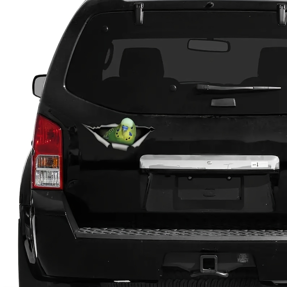 Adhesive Decal Of Parakeet For , Green Parakeet Sticker, Parakeet Decal